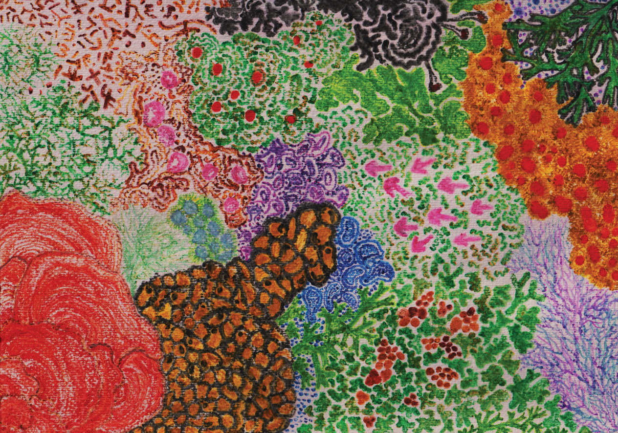 Mapa Miceliar — Bosque esmeralda