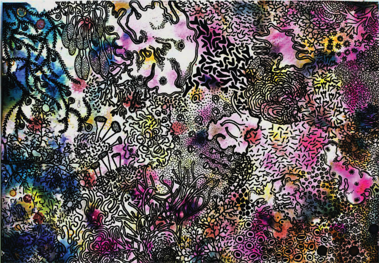 Mapa Miceliar — Trazos bio-orgánicos