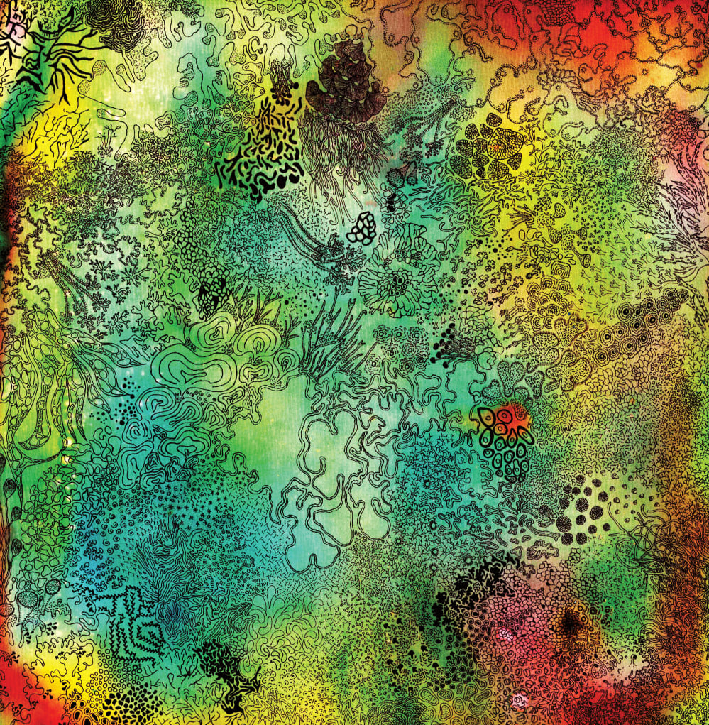 Mapa Miceliar — Bosque esmeralda detalle