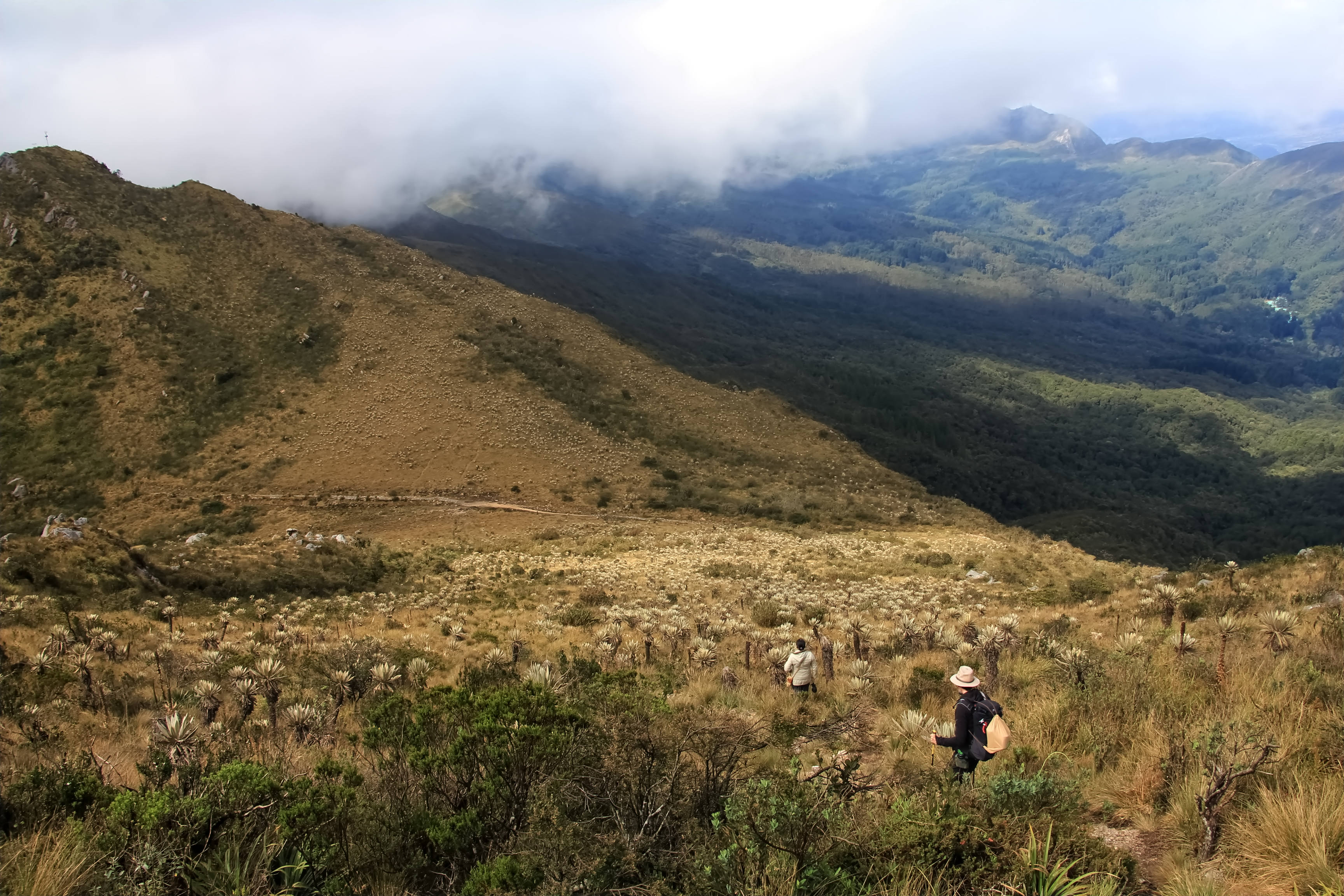 Ríos de niebla por las montañas Verjonitas